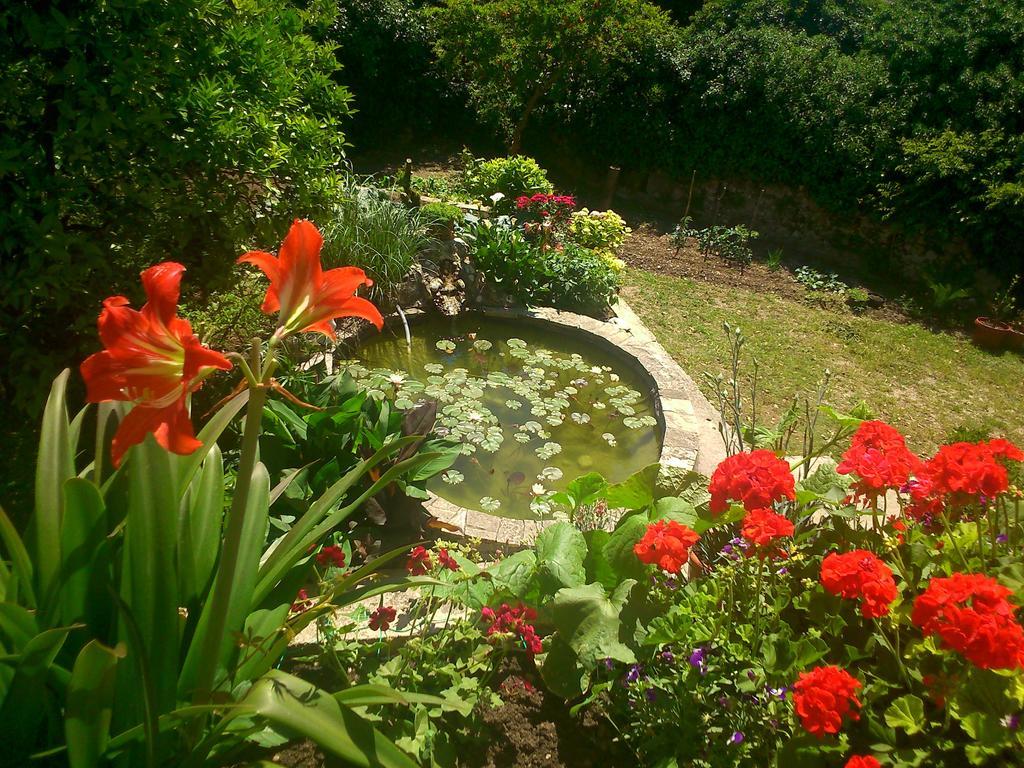 Antun Mozara Family House Bed & Breakfast Slano Exterior photo