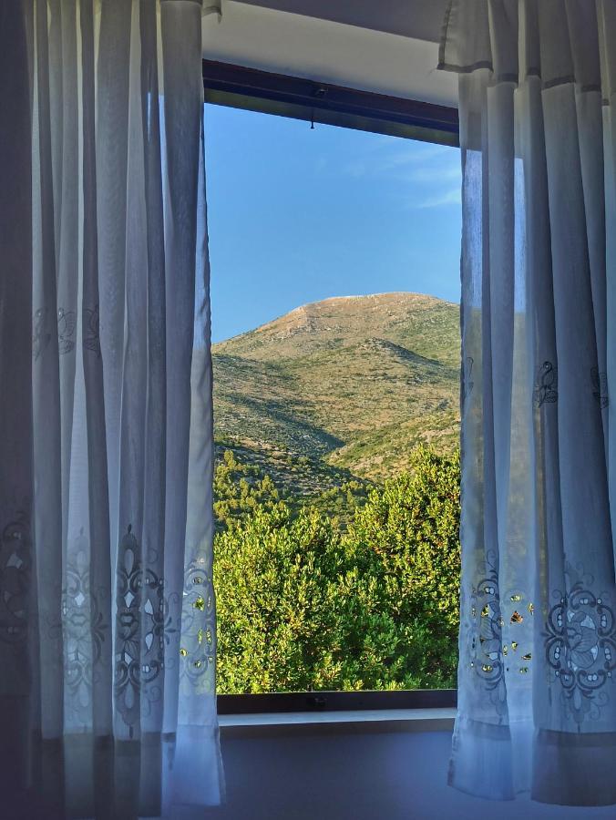 Antun Mozara Family House Bed & Breakfast Slano Exterior photo