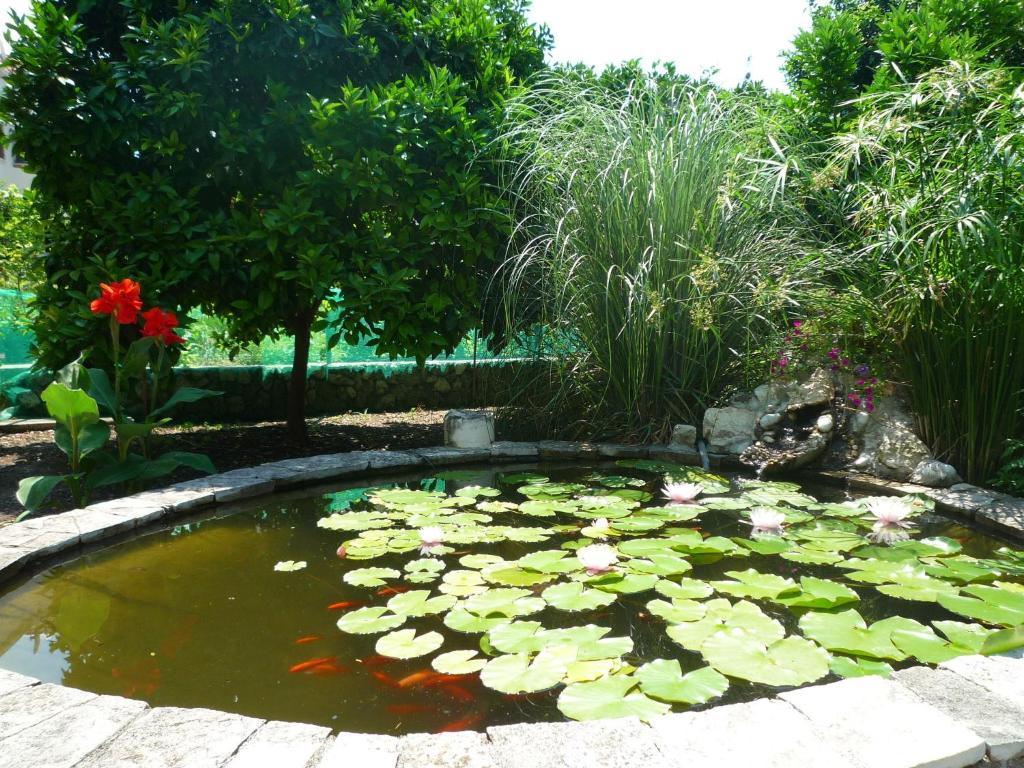 Antun Mozara Family House Bed & Breakfast Slano Exterior photo