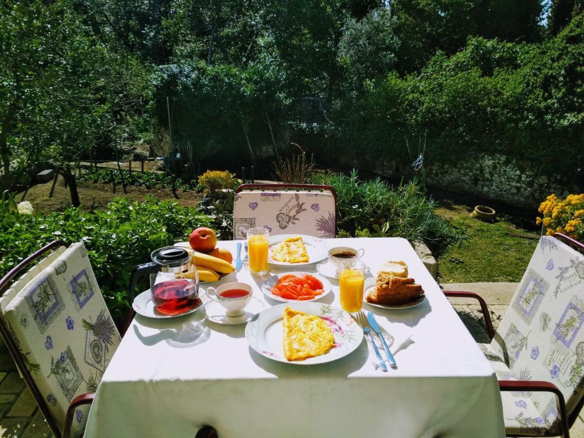 Antun Mozara Family House Bed & Breakfast Slano Exterior photo