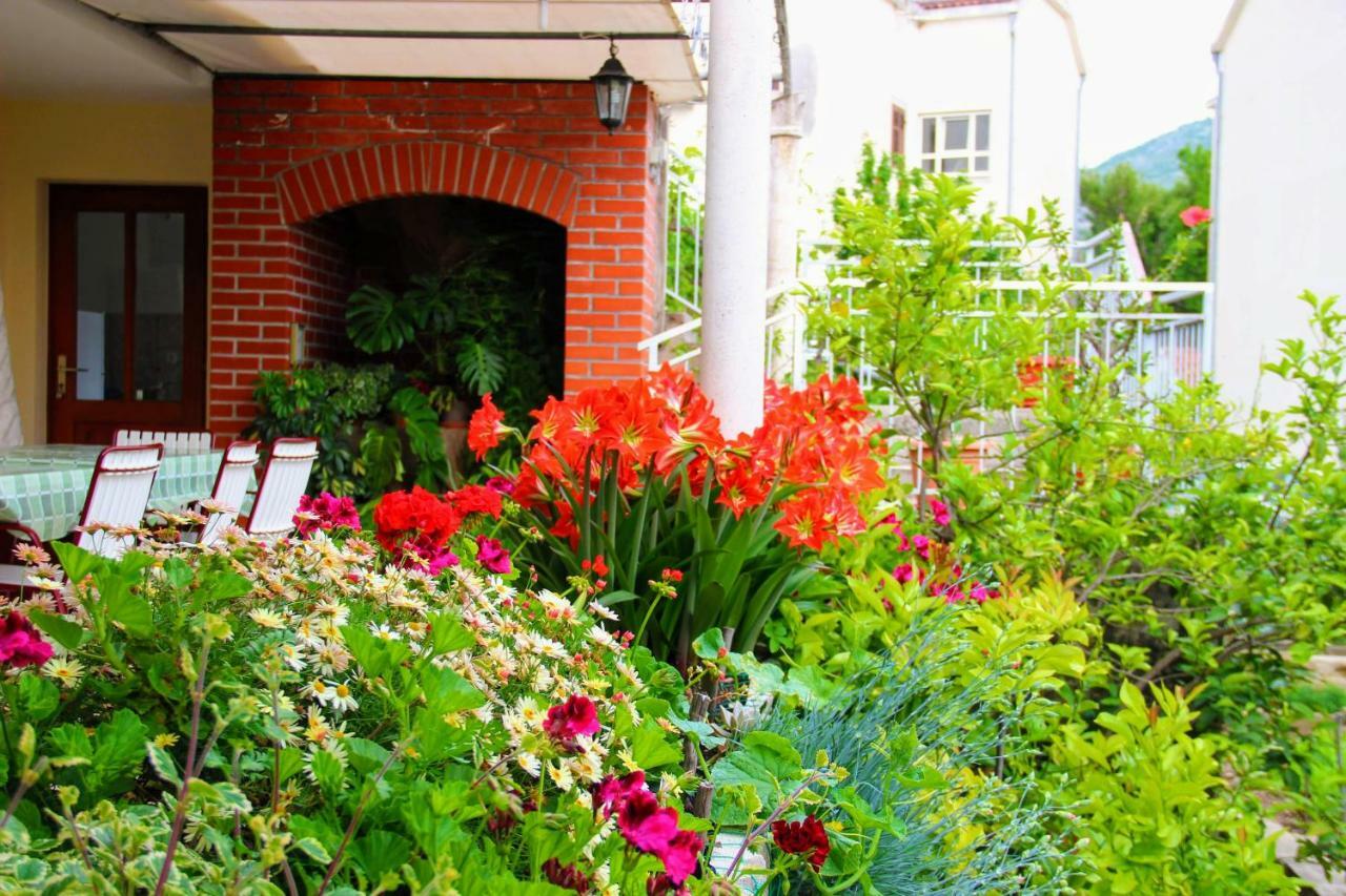 Antun Mozara Family House Bed & Breakfast Slano Exterior photo
